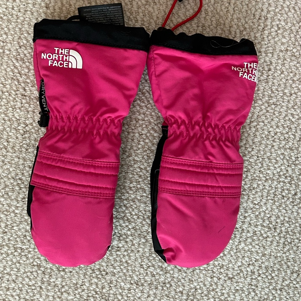 The North Face Snowsuit & Matching Mittens- 2T - Picture 4 of 5